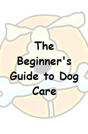 The Beginner's Guide to Dog Care